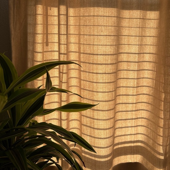 Meet your Posher, Kelsey - Picture 9 of 10